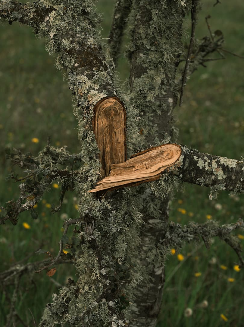 agobay MT 0005 silent living 01042023 DSF8102 agobay MT 0005 silent living 01042023 DSF8102