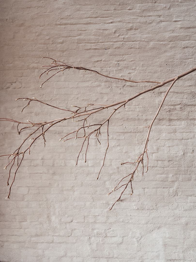 agobay MT-0038 corkinho-13 agobay MT-0038 corkinho-13