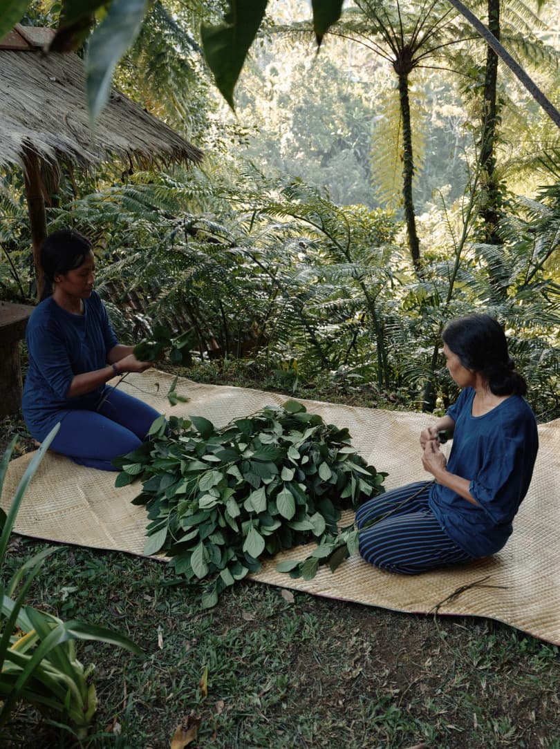 agobay ZL 0031 tian-taru 45 agobay ZL 0031 tian-taru 45