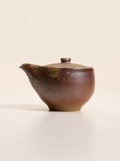 Bizen Teapot