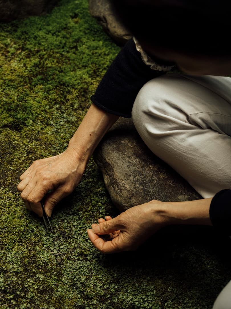 agobay-MT-0040-hatake-91 agobay-MT-0040-hatake-91