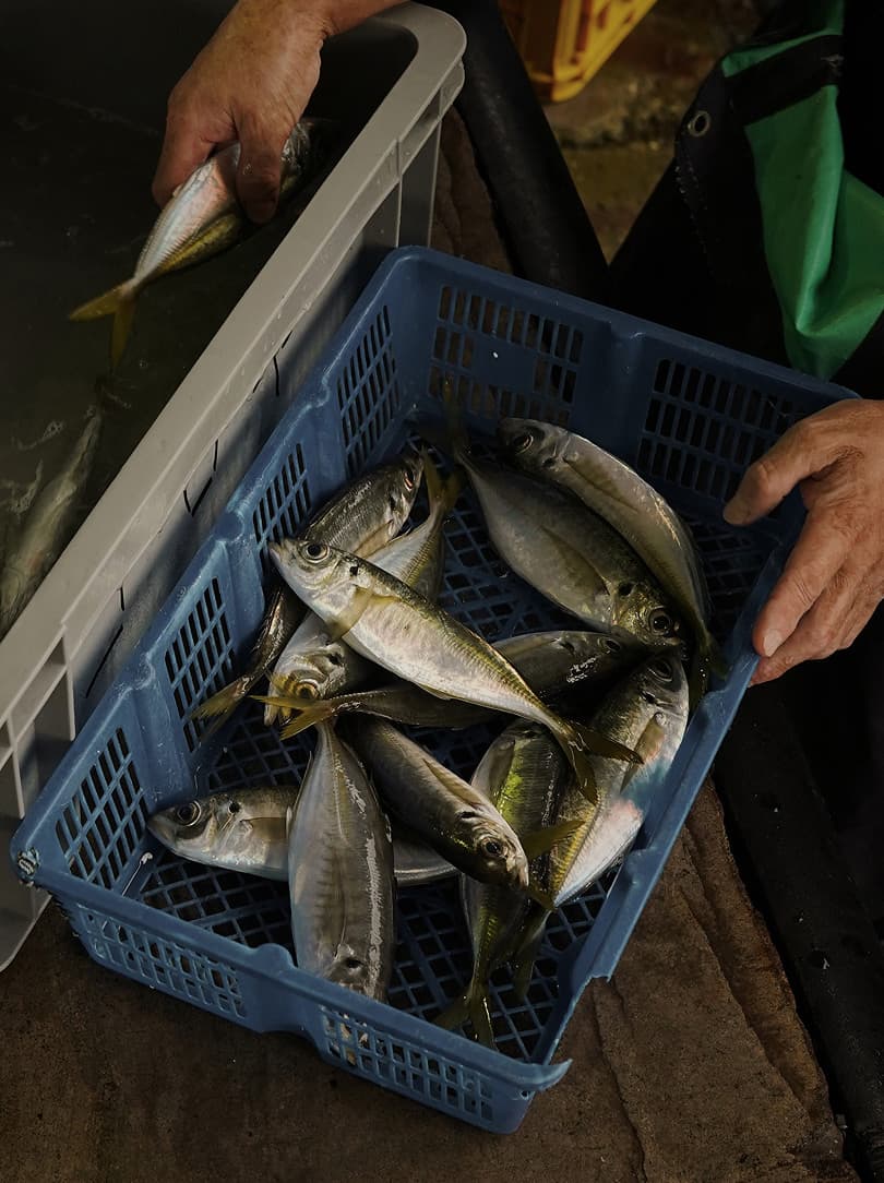 agobay AG 0046-ama-divers 80 agobay AG 0046-ama-divers 80