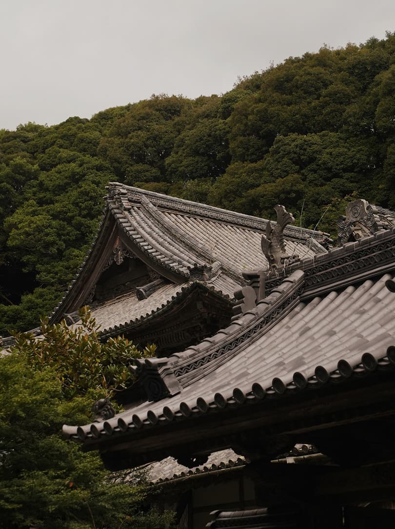 agobay AG 0046-ama-divers 16 agobay AG 0046-ama-divers 16