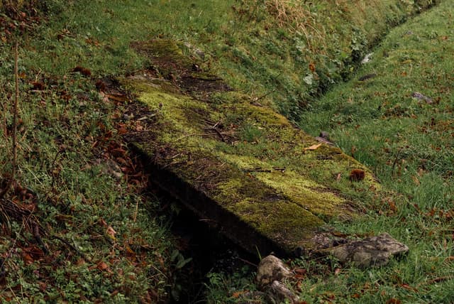 The Time Between Years playlist