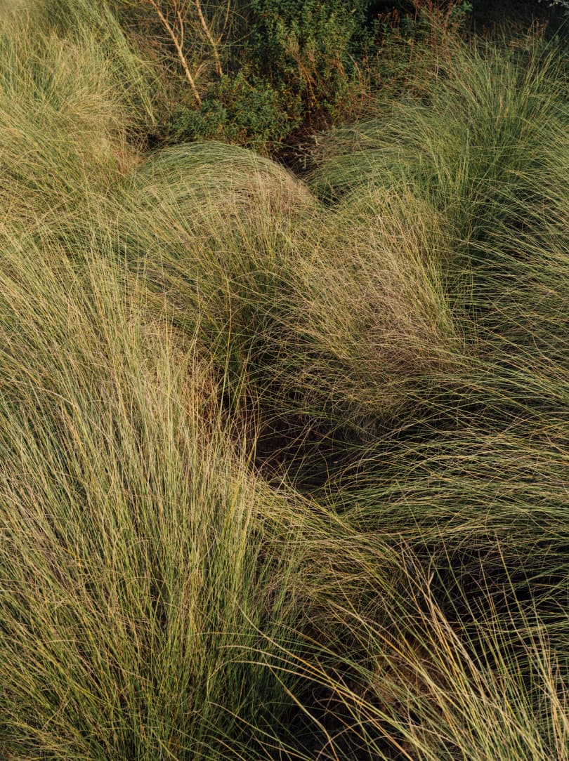 agobay MT 019 pateos-174 agobay MT 019 pateos-174