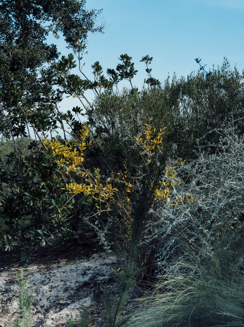 agobay MT 019 pateos-1 agobay MT 019 pateos-1