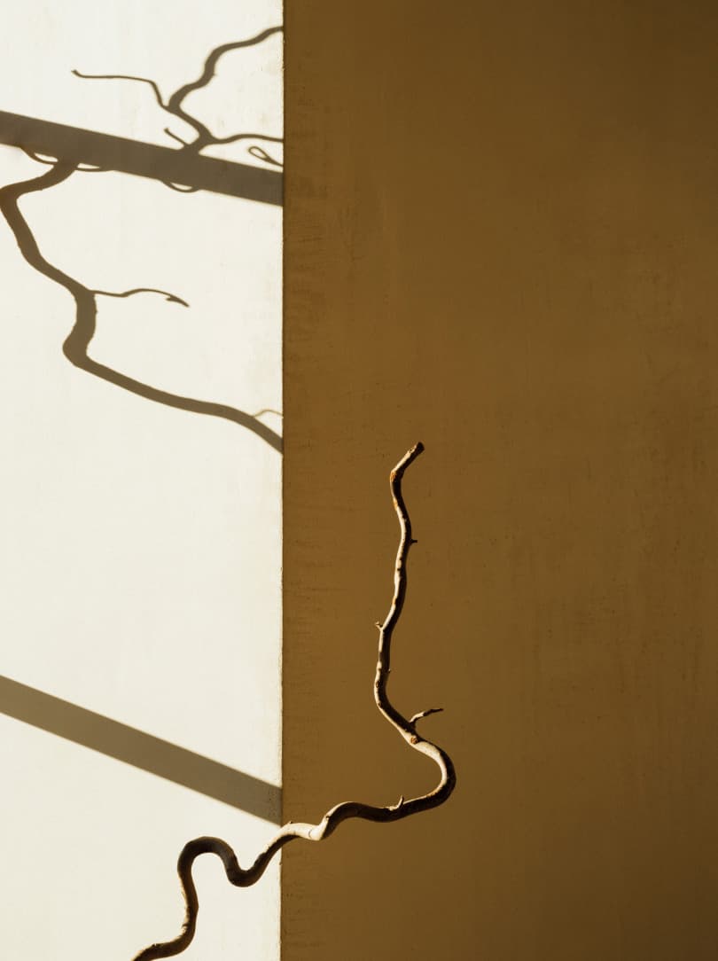 agobay MT 022 manna-10 agobay MT 022 manna-10