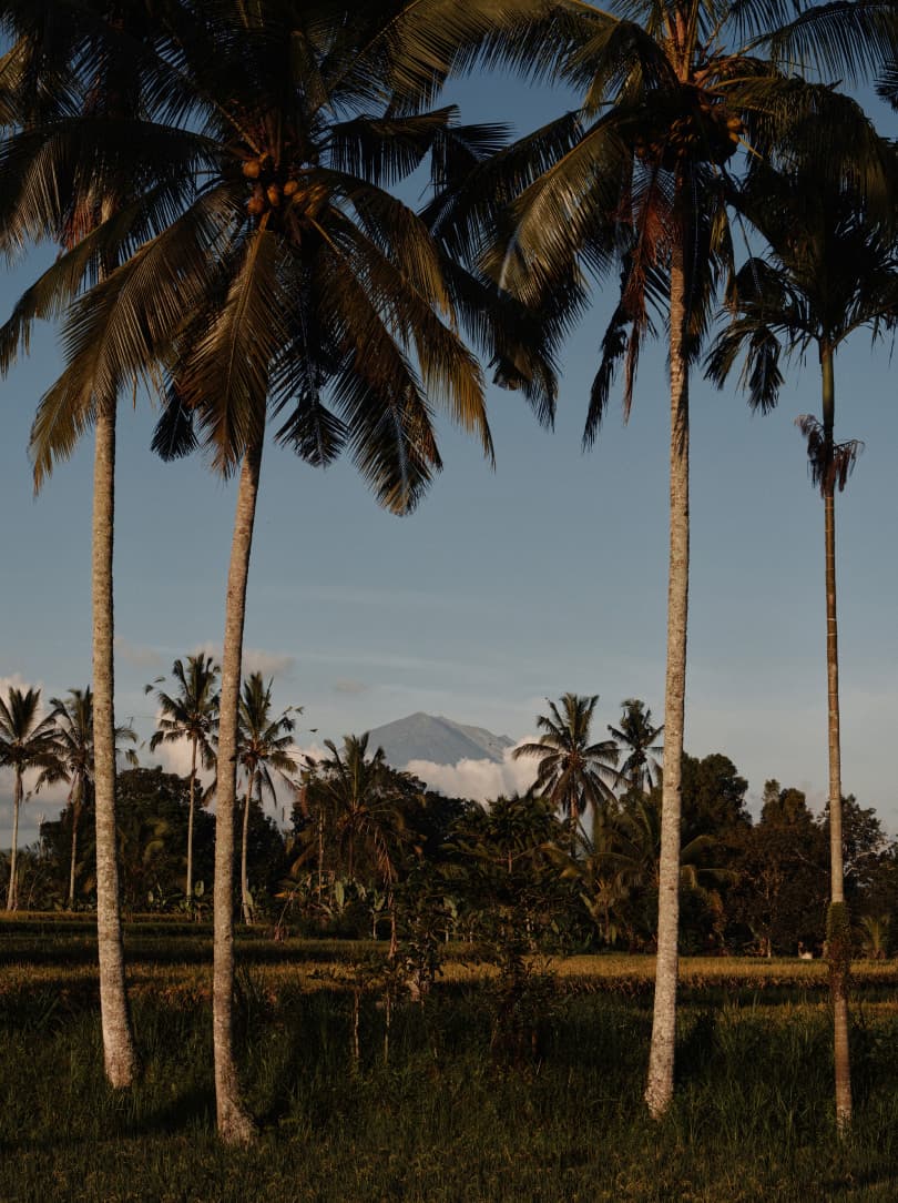 agobay ZL 0031 tian-taru 47 agobay ZL 0031 tian-taru 47