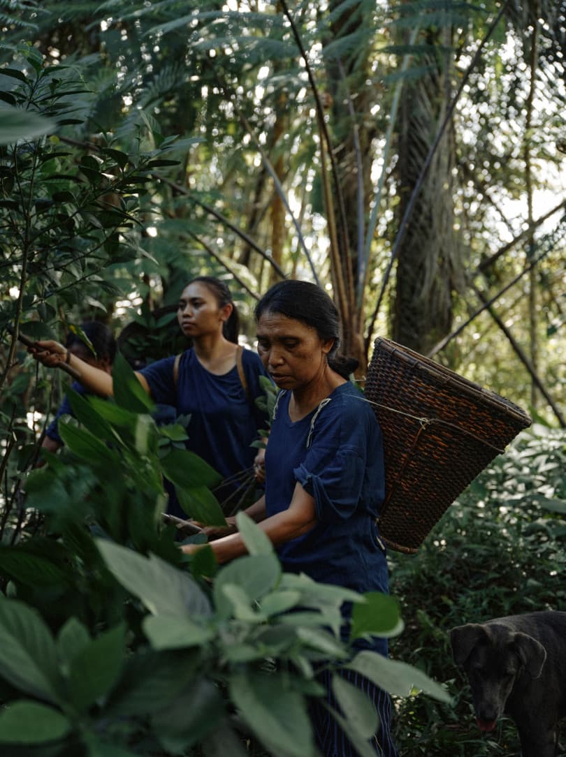 agobay ZL 0031 tian-taru 38 agobay ZL 0031 tian-taru 38