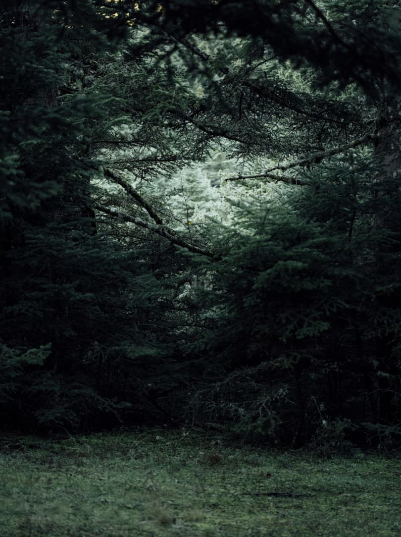 agobay MT 022 manna-123 agobay MT 022 manna-123