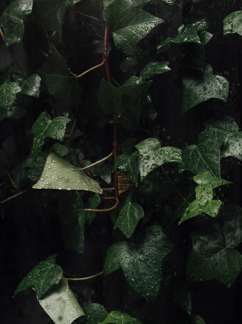 agobay MT 019 pateos-40 agobay MT 019 pateos-40