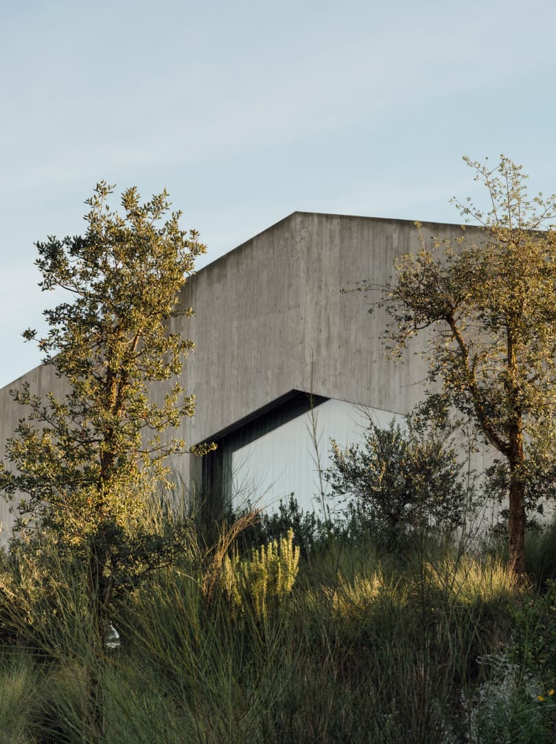 agobay MT 019 pateos-91 agobay MT 019 pateos-91