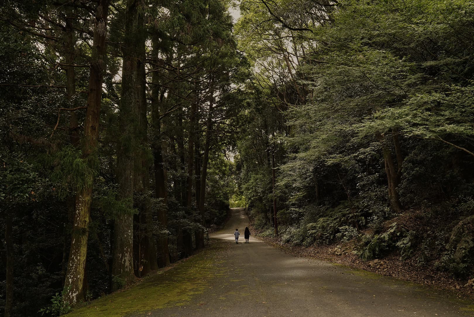 agobay AG 0046-ama-divers 41 agobay AG 0046-ama-divers 41