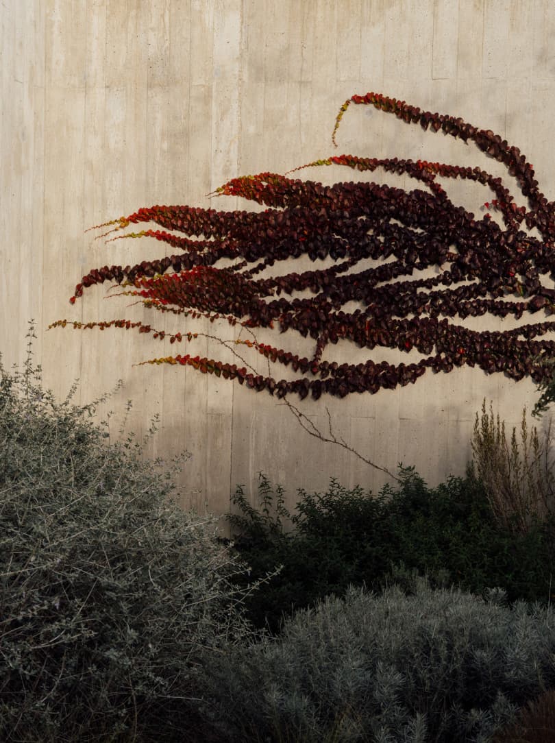 agobay MT 019 pateos-61 agobay MT 019 pateos-61