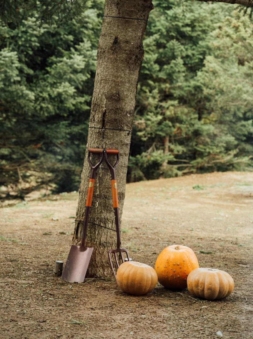 agobay MT 022 manna-97 agobay MT 022 manna-97