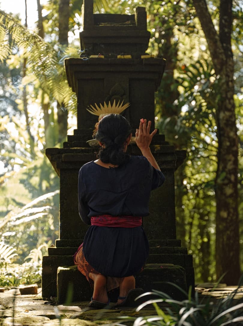 agobay ZL 0031 tian-taru 54 agobay ZL 0031 tian-taru 54