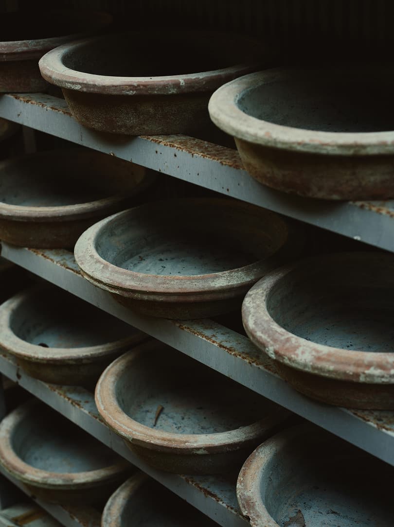 agobay RR 0047 hiroshi-morimoto 0274 agobay RR 0047 hiroshi-morimoto 0274