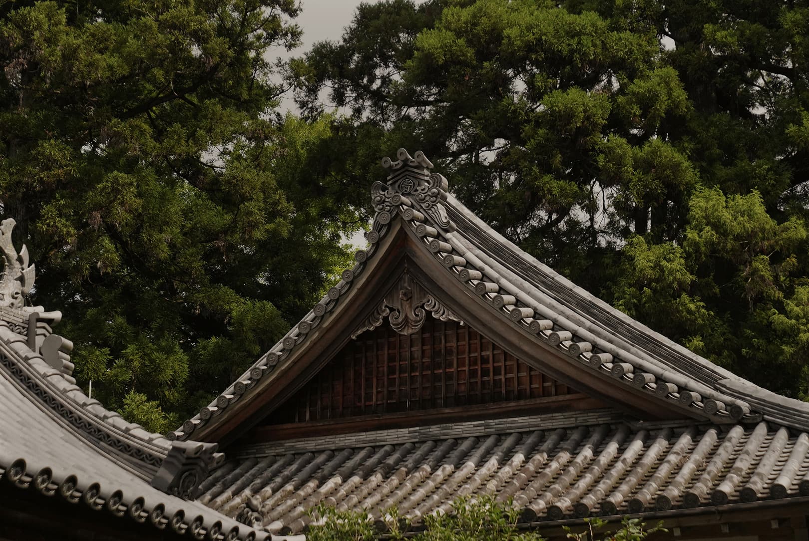 agobay AG 0046-ama-divers 43 agobay AG 0046-ama-divers 43