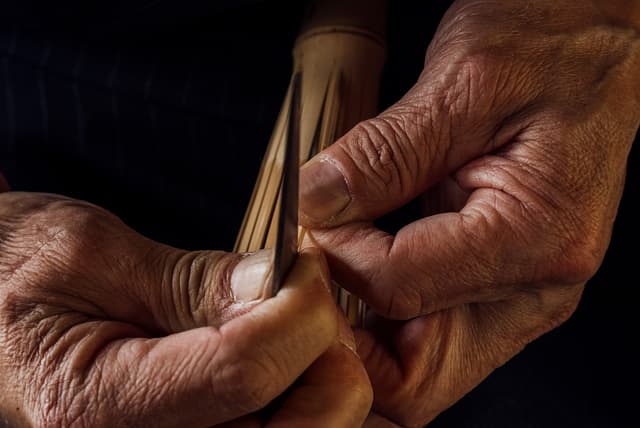 Bamboo Masters