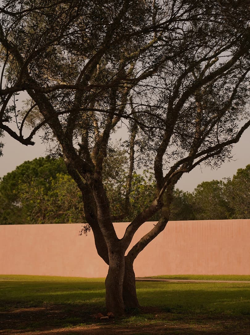 agobay AG 0039 neuendorf-house-121 agobay AG 0039 neuendorf-house-121