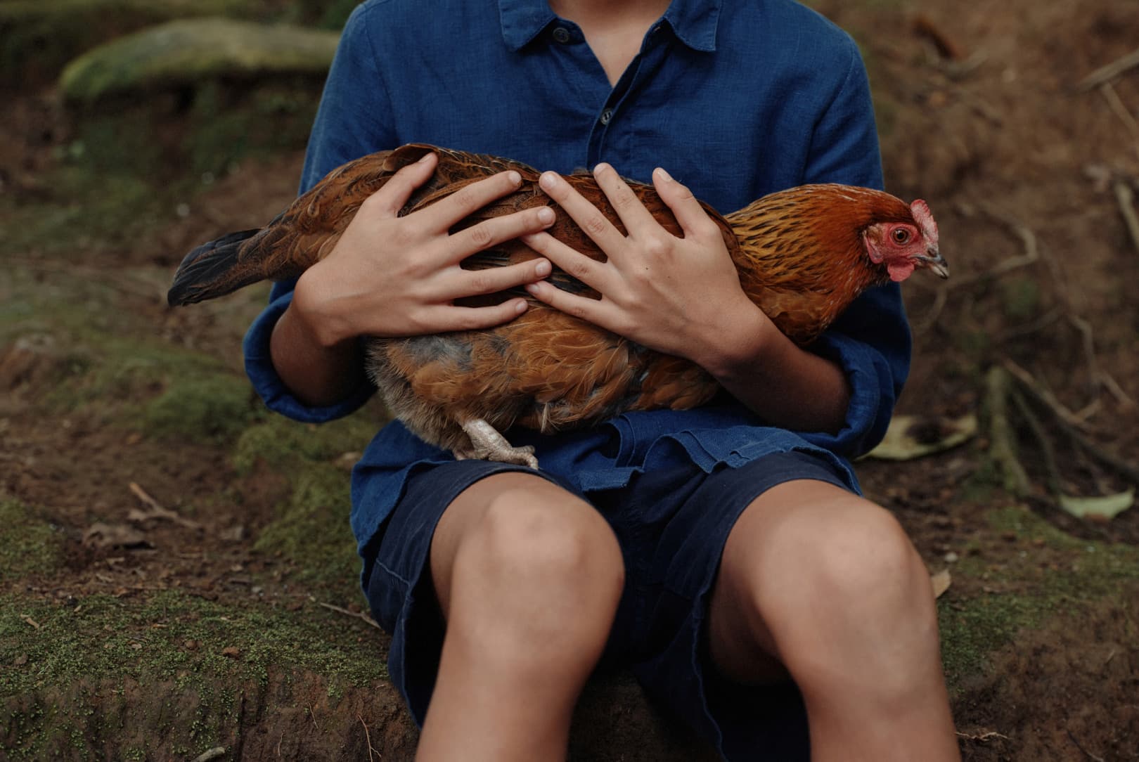 agobay ZL 0031 tian-taru 30 agobay ZL 0031 tian-taru 30