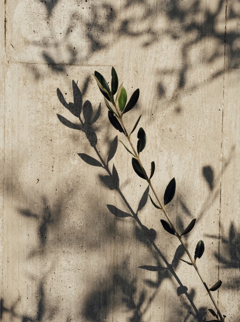 agobay MT 019 pateos-176 agobay MT 019 pateos-176