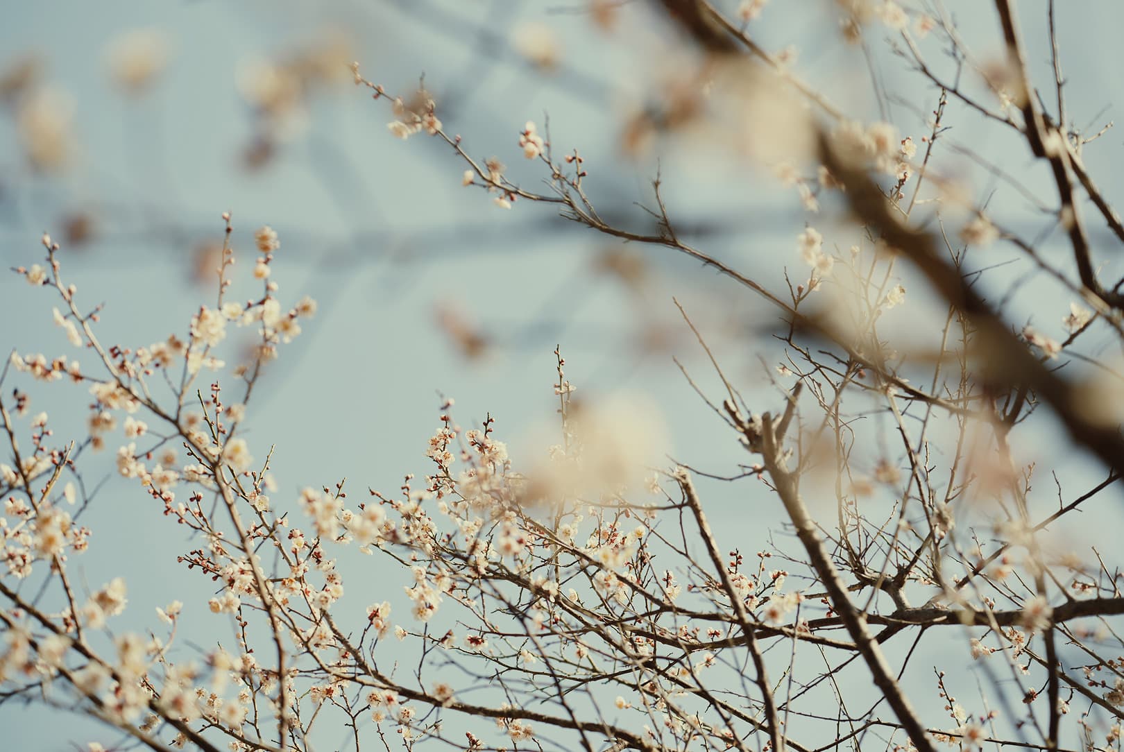 agobay RR 0047 hiroshi-morimoto 0183 agobay RR 0047 hiroshi-morimoto 0183