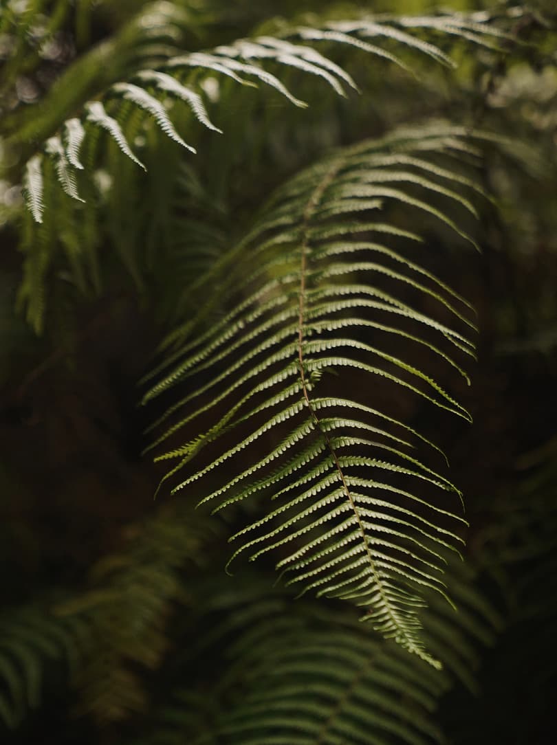 agobay AG 0046-ama-divers 47 agobay AG 0046-ama-divers 47