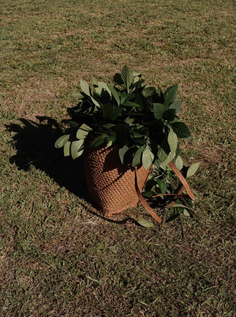 agobay ZL 0031 tian-taru 43 agobay ZL 0031 tian-taru 43