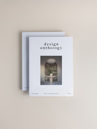 Issue 41