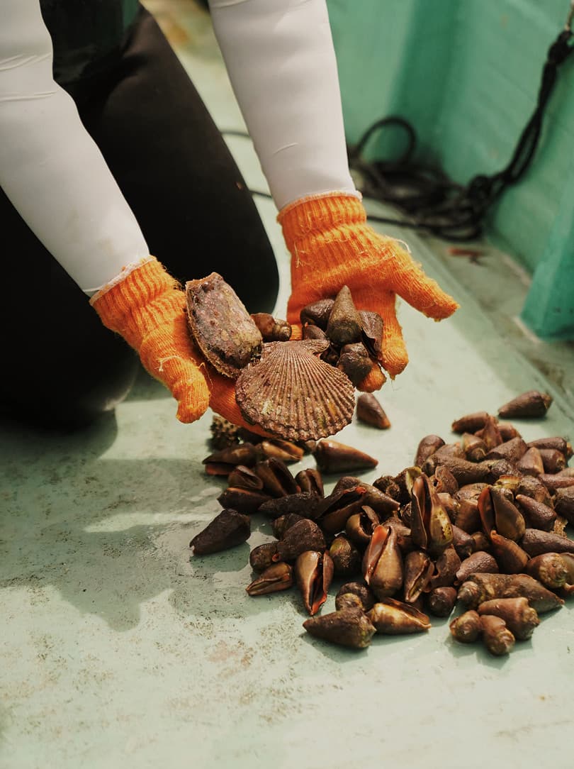 agobay AG 0046-ama-divers 109 agobay AG 0046-ama-divers 109