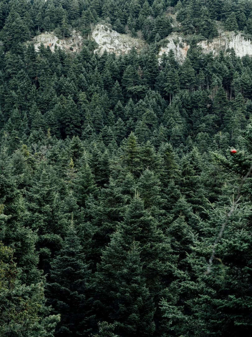 agobay MT 022 manna-4 agobay MT 022 manna-4