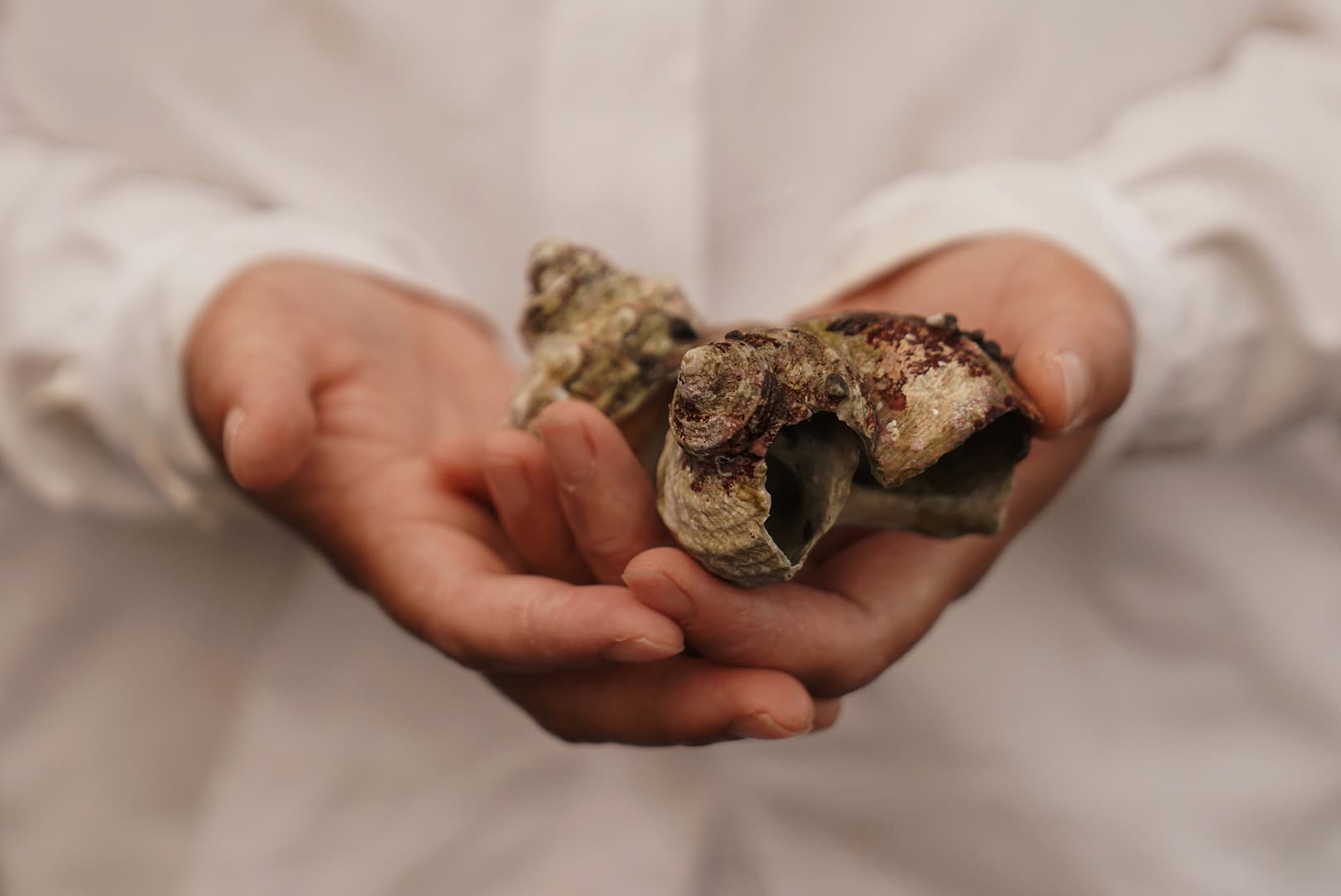 agobay AG 0046-ama-divers 09 agobay AG 0046-ama-divers 09