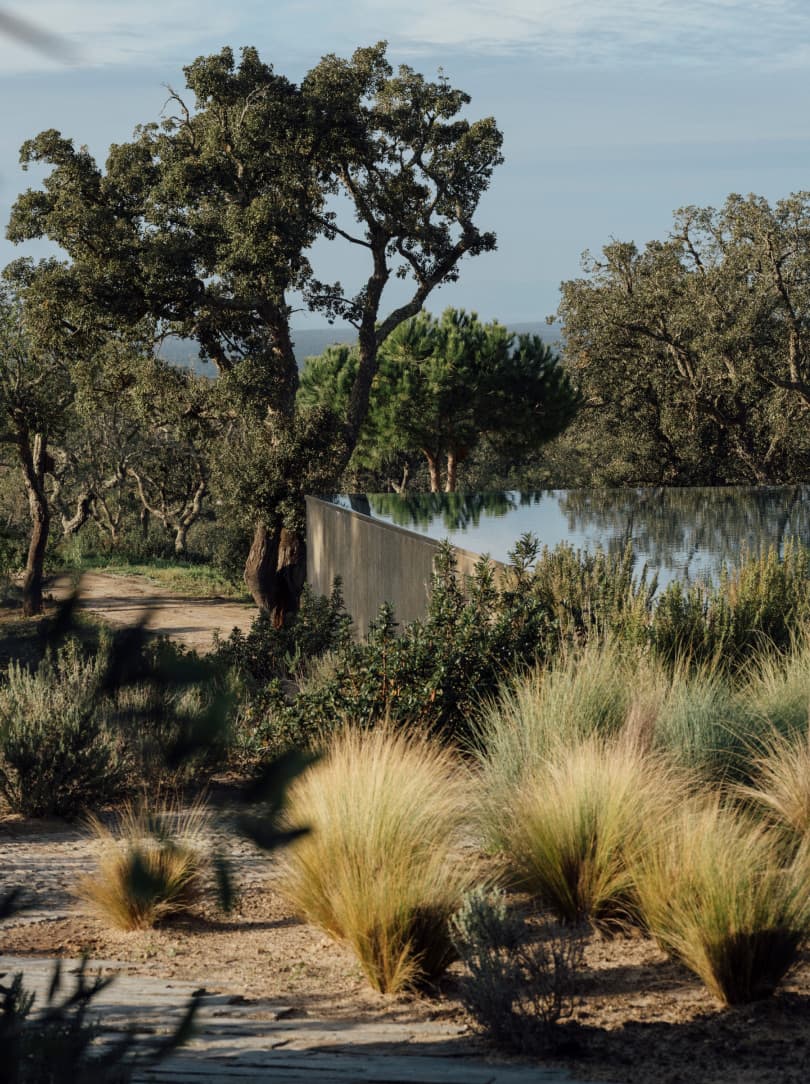 agobay MT 019 pateos-196 agobay MT 019 pateos-196