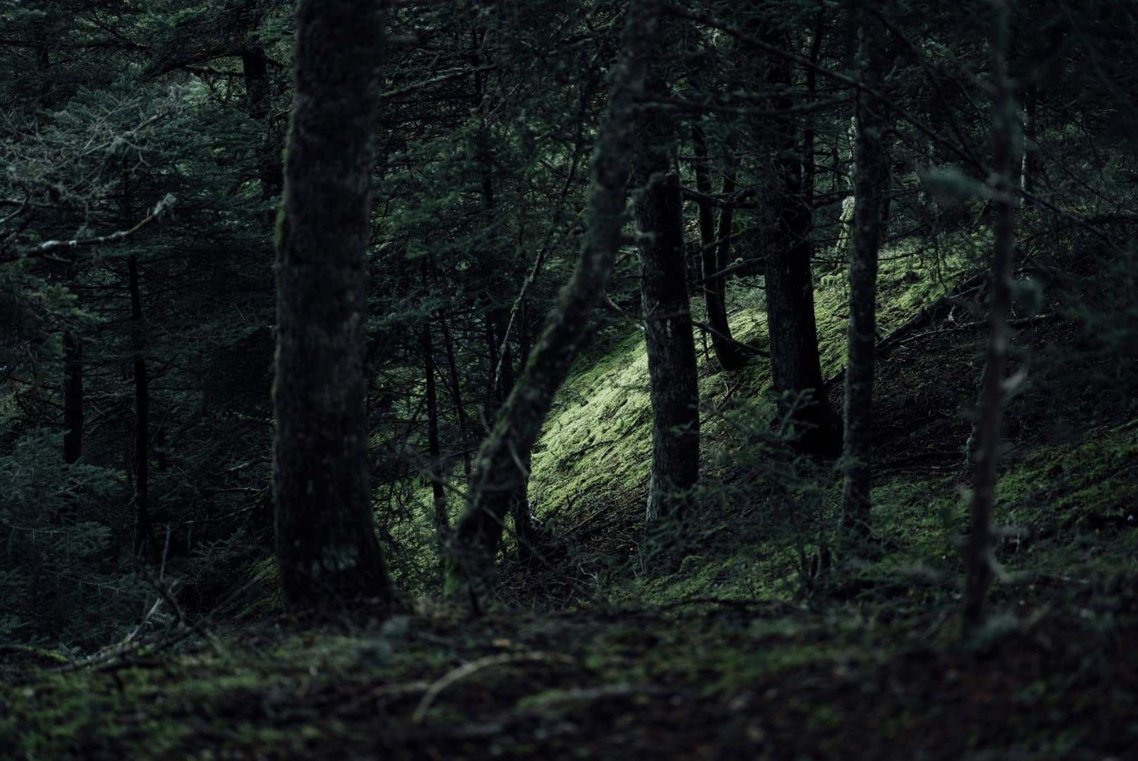 agobay MT 022 manna-101 agobay MT 022 manna-101