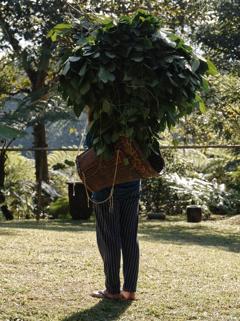 agobay ZL 0031 tian-taru 41 agobay ZL 0031 tian-taru 41