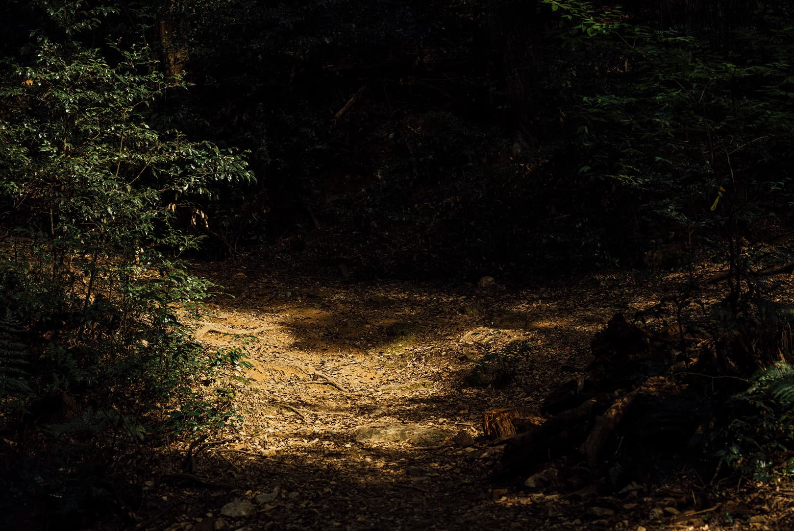 agobay 0042 mt zazen-meditation-217 agobay 0042 mt zazen-meditation-217