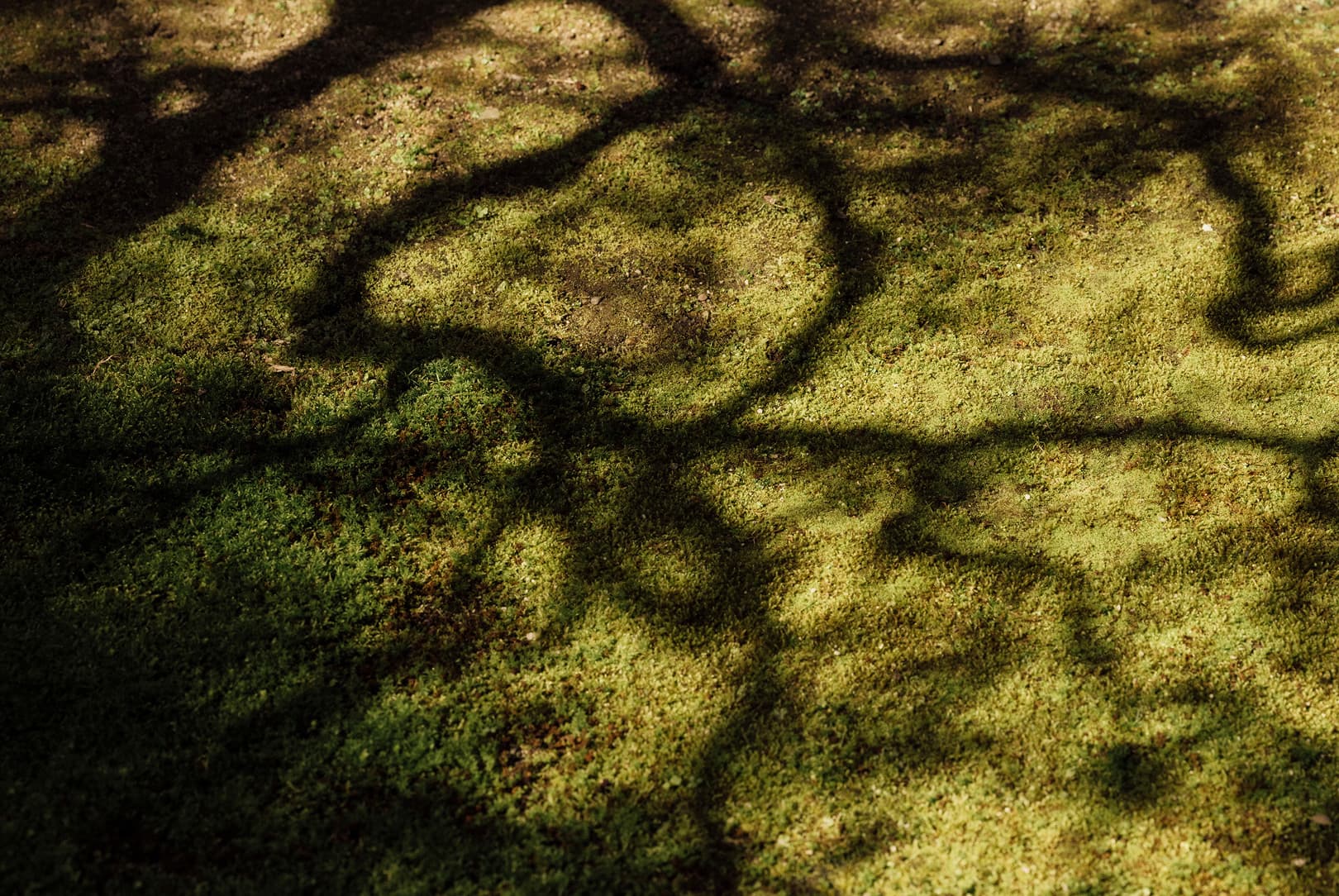 agobay-MT-0040-hatake-168 agobay-MT-0040-hatake-168