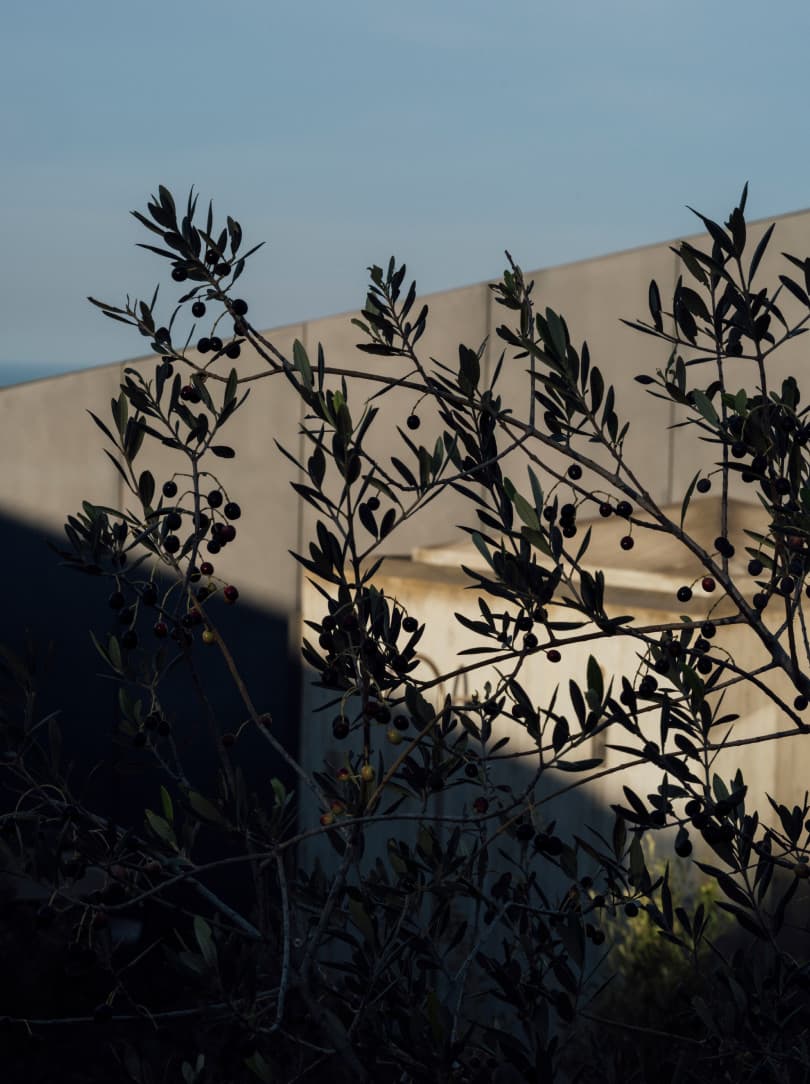 agobay MT 019 pateos-4 agobay MT 019 pateos-4