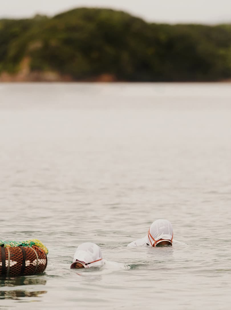 agobay AG 0046-ama-divers 96 agobay AG 0046-ama-divers 96