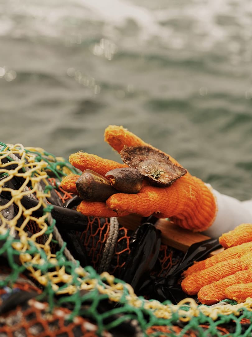 agobay AG 0046-ama-divers 100 agobay AG 0046-ama-divers 100