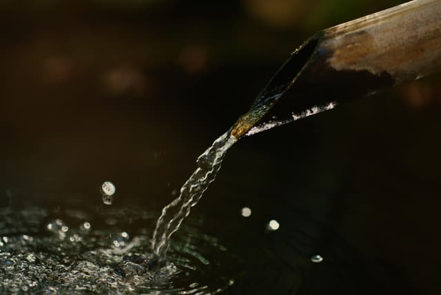 Waterline Playlist