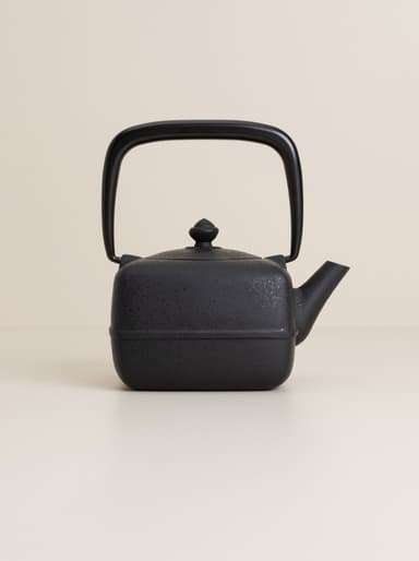Cast iron teapot
