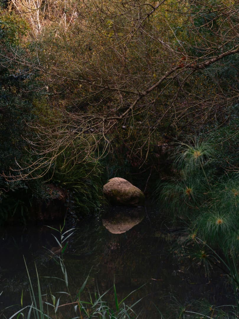 agobay-0036-MT-gulbenkian-7 agobay-0036-MT-gulbenkian-7