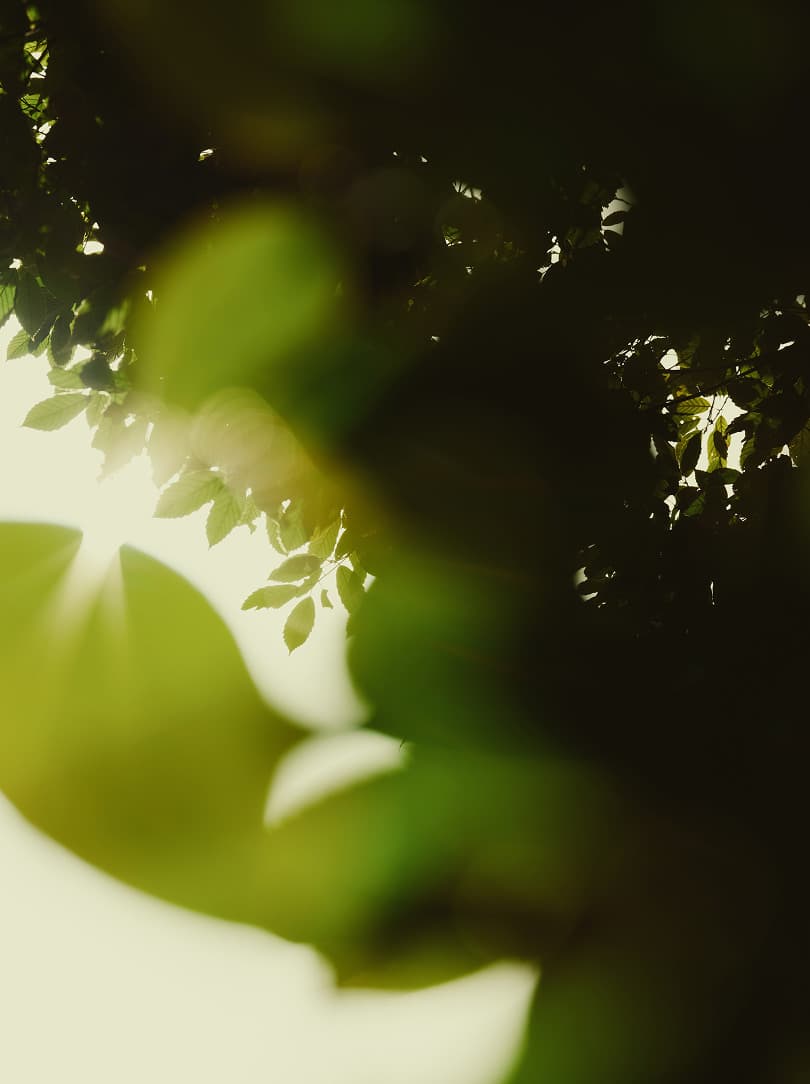 agobay RR 0047 hiroshi-morimoto 0351 agobay RR 0047 hiroshi-morimoto 0351