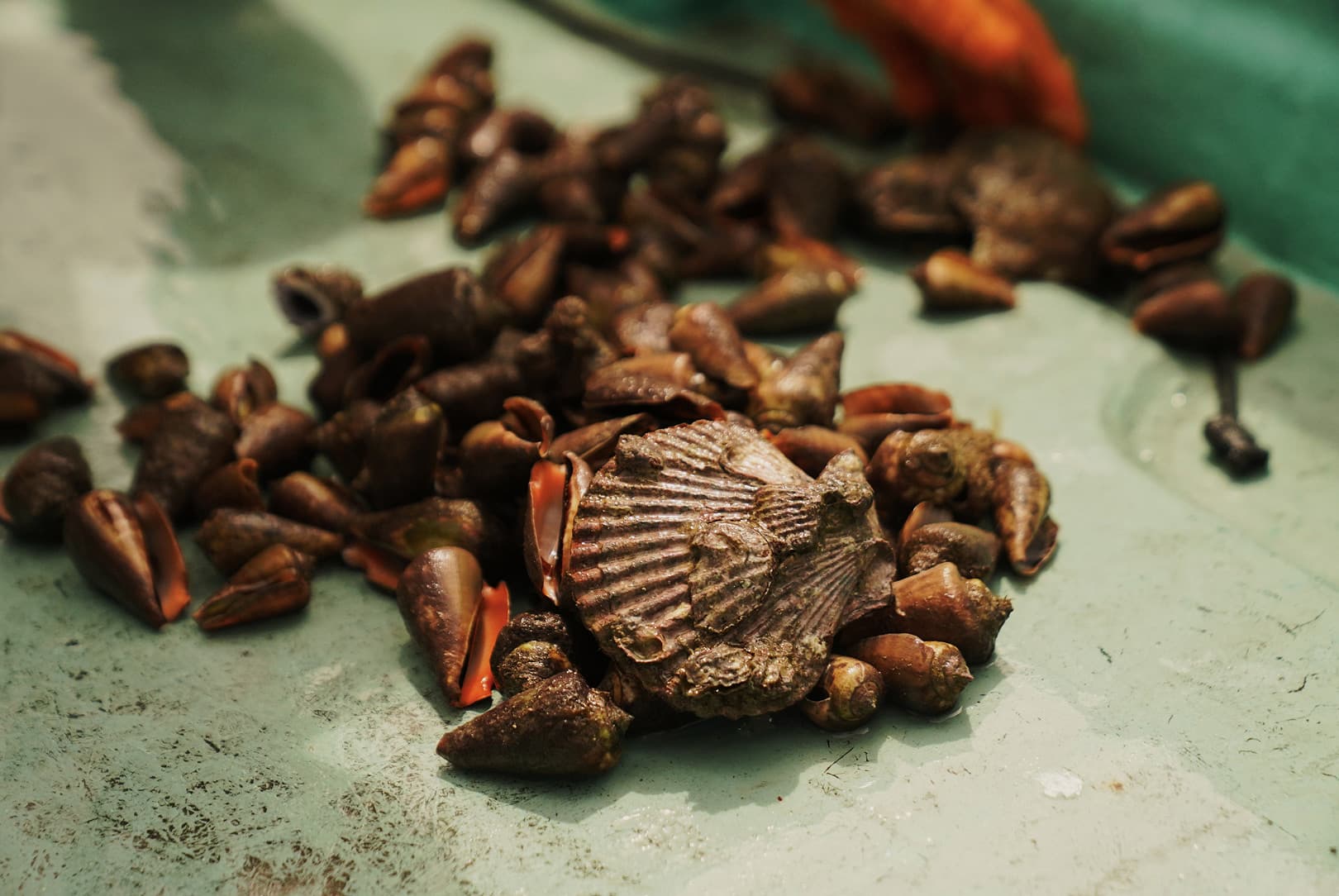 agobay AG 0046-ama-divers 107 agobay AG 0046-ama-divers 107