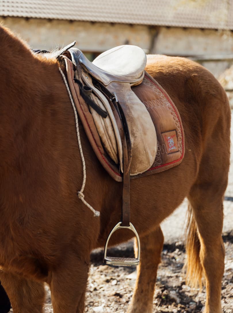 agobay MT 022 manna-73 agobay MT 022 manna-73