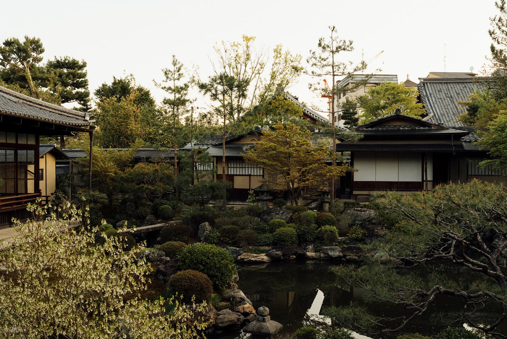 agobay 0042 mt zazen-meditation-94 agobay 0042 mt zazen-meditation-94