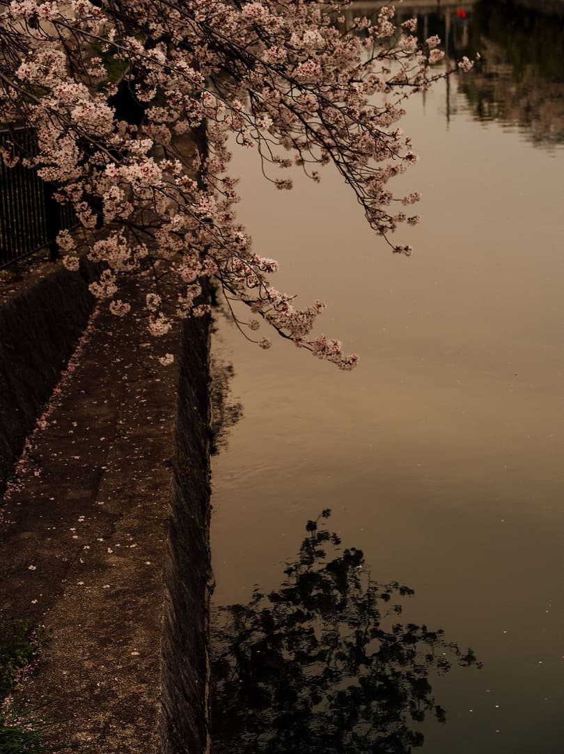 agobay-MT-0040-hatake-73 agobay-MT-0040-hatake-73