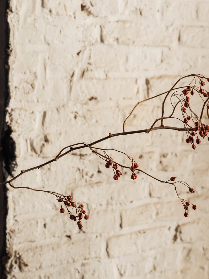 agobay MT-0038 corkinho-44 agobay MT-0038 corkinho-44